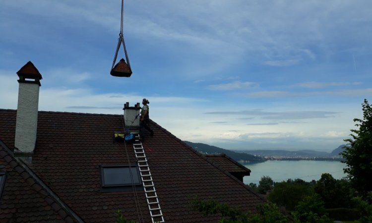 Professionnel pour réaliser l'encadrement de salariés qui interviennent en toiture à Aix-les-Bains