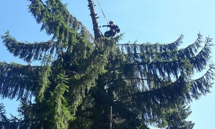 ALP'AD Chambéry - Travaux d’accès difficile en milieu aérien